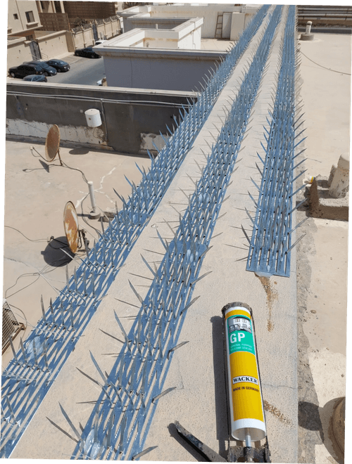 شركة تركيب طارد الحمام بالدمام المتميز 0506336751