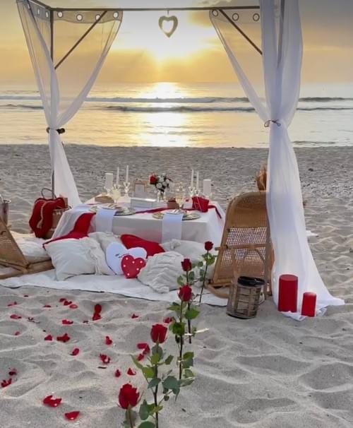 PICNIC PRESTIGE