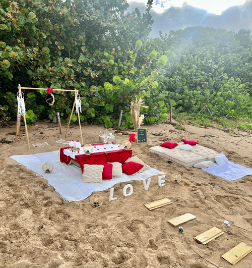 PICNIC ELEGANCE