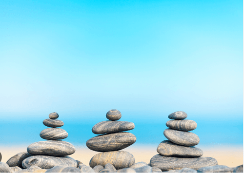 Wellness Strategy Planning Session ( 15 minutes)