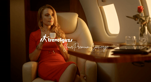 Build your US clientele with the help of Travelguzs