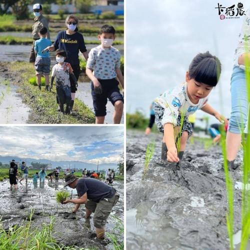 【宜蘭2026冬令營|三天二夜|小小農夫體驗營】👨🌾小村民遊戲大農村🏕️,復育生物100種🦋🐌🐟食農教育