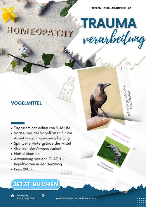 Vogelmittel in der Traumverarbeitung