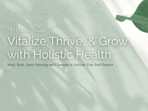 VTG Holistic Health 20 Minute Consultation (Virtual)