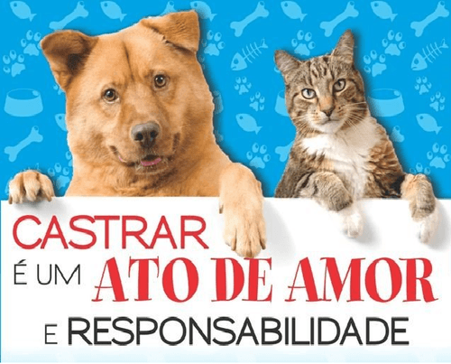Castração
