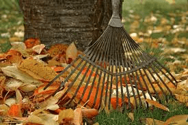 Planting And Leaf Raking