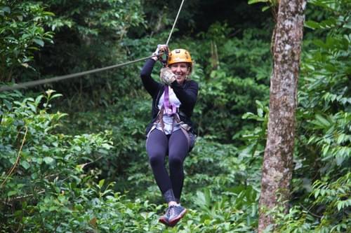 Canopy