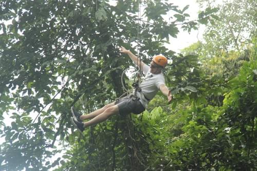 Tarzan Swing + Canopy