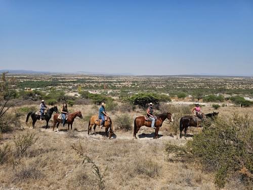 🌵 San Miguel Countryside Trail Ride