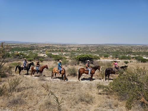 🌵 San Miguel Countryside Trail Ride