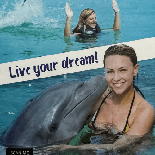 Swim with dolphins