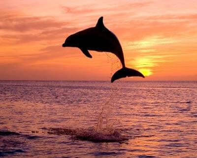 5 unforgettable hours abroad!