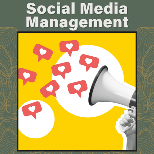 Social Media Management