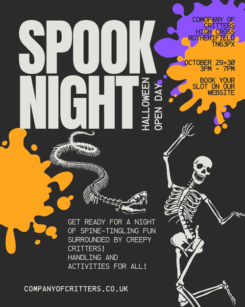 Spoooook Night!