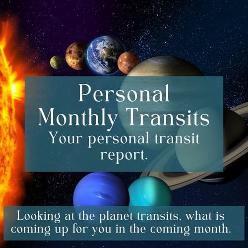 Monthly Personal Transit Report