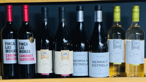 Catas de Vino | Wine Tasting