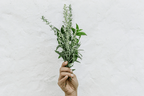 Taller Ayurveda 2 - Conoce tu dosha Ayurvedico y tu dieta para equilibrar tu cuerpo