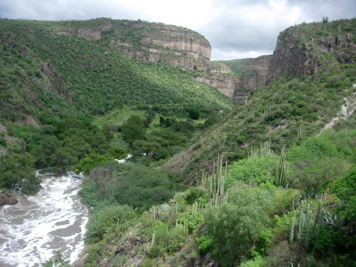 Section image