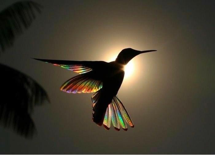 Cesser de répéter les schémas de vie négatifs et souffrants Vivre en lien Ne plus se sentir seul Faire face aux idées suicidaires Mal de vivre Retrouver la joie de vivre Retrouver la joie Trouver un sens à la vie Clarifier faire le point sur Aix en Provence Cesser de répéter les schémas de vie négatifs et souffrants Vivre en lien Ne plus se sentir seul Faire face aux idées suicidaires Mal de vivre Retrouver la joie de vivre Retrouver la joie Trouver un sens à la vie Clarifier faire le point sur Aix en Provence
