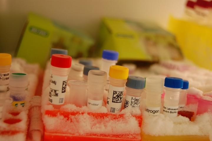 reagents in the freezer reagents in the freezer