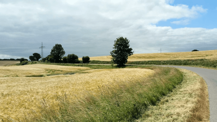 Section image