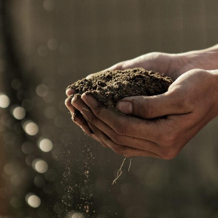 Gesunder Boden und Carbon Farming für Humus - mehr erfahren im Seminar mit Joel Salatin Gesunder Boden und Carbon Farming für Humus - mehr erfahren im Seminar mit Joel Salatin