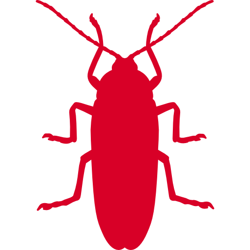 SOS insectes desinsectisation SOS insectes desinsectisation
