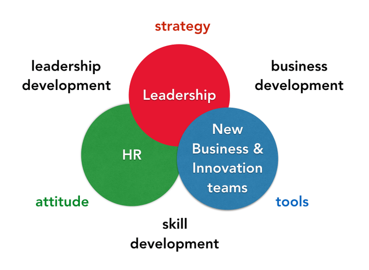 Focus: strategy, attitude & tools Focus: strategy, attitude & tools