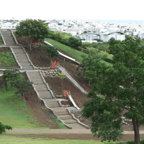 Section image