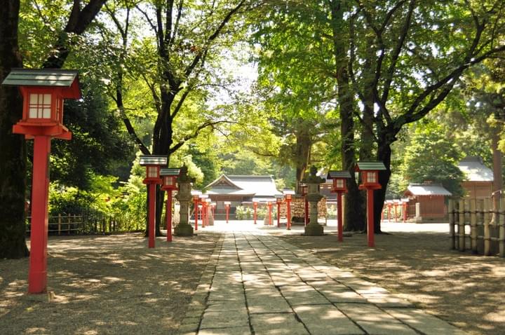マニフェストスイッチ香取市議選 マニフェストスイッチ香取市議選