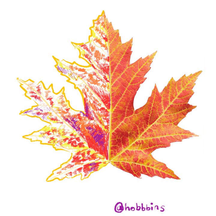 Online drawing classes for groups with M.Y.O Online drawing classes for groups with M.Y.O