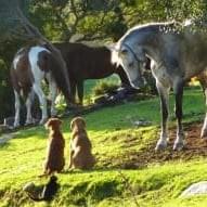 Cliquez sur l'image Cliquez sur l'image