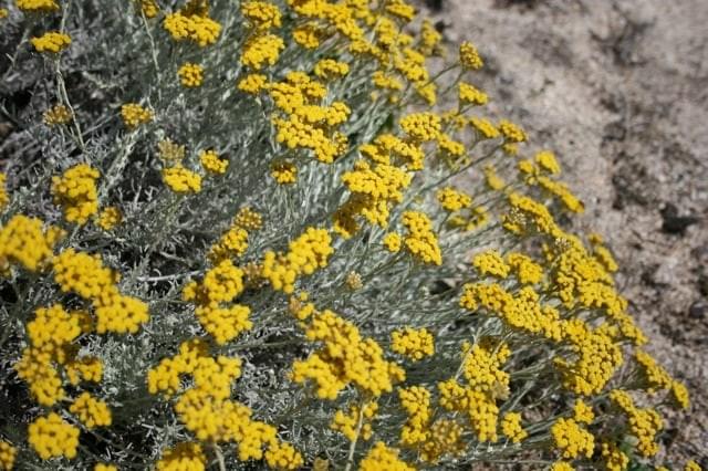 Cliquez sur l'image Cliquez sur l'image