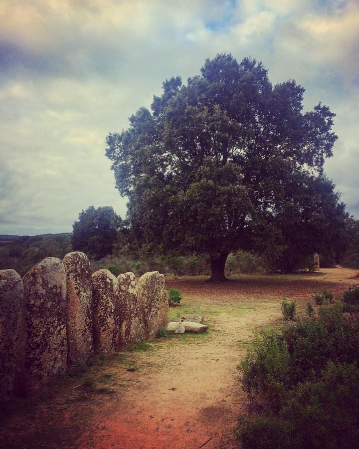 Cliquez sur l'image Cliquez sur l'image