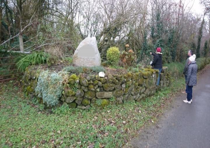 Working with a Tidy Towns group - Natural Landscapers Working with a Tidy Towns group - Natural Landscapers