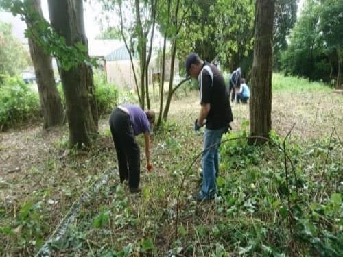 Cleaning small woodland - Natural Landscapers Cleaning small woodland - Natural Landscapers