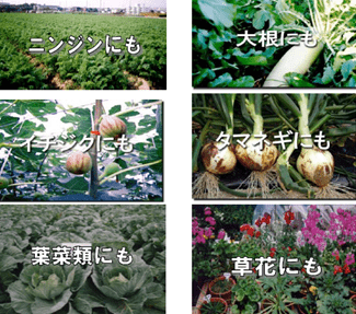 UTコンポ使用例 UTコンポ使用例