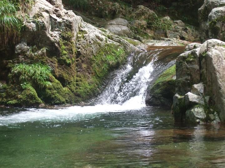 Section image