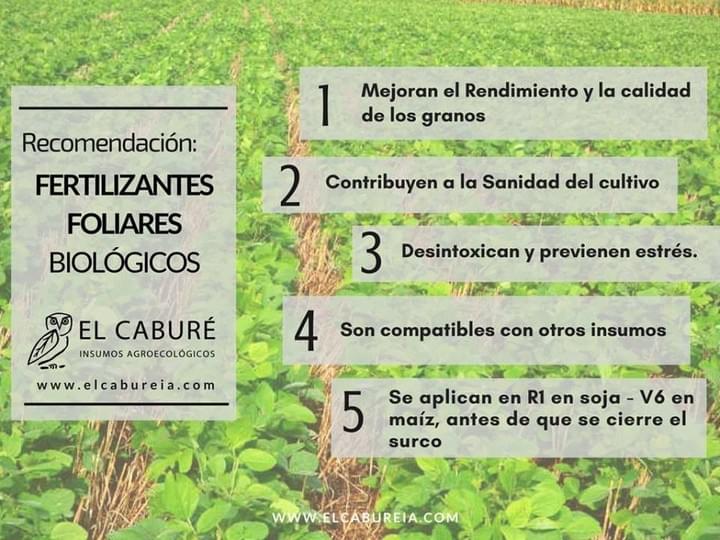 foliares fertilizantes foliares fertilizantes