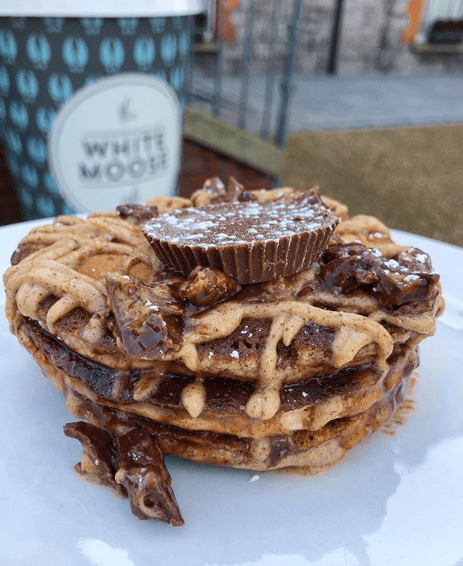 Dog Friendly Dublin Dog Friendly Dublin