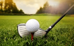 There are 6 golf courses in Lot-et-Garonne less than 30 minutes from the hotel : Golf of Agen - Bon Encontre: 9 holes, par 35/2921 meters Golf of Albret: 18 holes, par 72/5835 meters Golf de Barthe-Tombeboeuf: 9 holes, par 36/2822 meters Golf of Casteljaloux: 18 holes, par 72/6007 meters Golf of Marmande: 10 holes, by 38/3093 meters Villeneuve sur Lot golf course: 18 holes, par 72/6109 meters There are 6 golf courses in Lot-et-Garonne less than 30 minutes from the hotel : Golf of Agen - Bon Encontre: 9 holes, par 35/2921 meters Golf of Albret: 18 holes, par 72/5835 meters Golf de Barthe-Tombeboeuf: 9 holes, par 36/2822 meters Golf of Casteljaloux: 18 holes, par 72/6007 meters Golf of Marmande: 10 holes, by 38/3093 meters Villeneuve sur Lot golf course: 18 holes, par 72/6109 meters