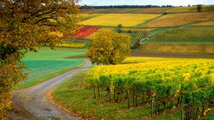 Situé sur le chemin de Saint-Jacques-de-Compostelle, le Château Léna propose des sentiers de randonnée uniques à ses portes. Vous trouverez d'autres sentiers dans la région à l'adresse http://www.tourisme-lotetgaronne.com. Clairac (5 minutes en voiture) possède une plage et est un joli village avec un joli petit café sur la place principale Villeton (15 minutes en voiture). ) - endroit idéal pour garer votre voiture et faire une longue promenade le long du Canal du Midi ou une balade à vélo ou à patins à roues alignées pour les plus aventureux! Le déjeuner est bon à La Chope et le Pichet Laparade (15 minutes en voiture) offre une vue spectaculaire sur les vallées environnantes. Nérac (30 minutes en voiture) - une belle ville qui mérite d'être visitée. Situé sur le chemin de Saint-Jacques-de-Compostelle, le Château Léna propose des sentiers de randonnée uniques à ses portes. Vous trouverez d'autres sentiers dans la région à l'adresse http://www.tourisme-lotetgaronne.com. Clairac (5 minutes en voiture) possède une plage et est un joli village avec un joli petit café sur la place principale Villeton (15 minutes en voiture). ) - endroit idéal pour garer votre voiture et faire une longue promenade le long du Canal du Midi ou une balade à vélo ou à patins à roues alignées pour les plus aventureux! Le déjeuner est bon à La Chope et le Pichet Laparade (15 minutes en voiture) offre une vue spectaculaire sur les vallées environnantes. Nérac (30 minutes en voiture) - une belle ville qui mérite d'être visitée.