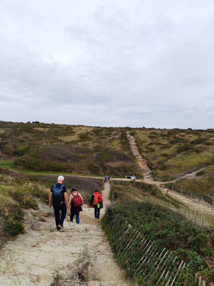 Section image