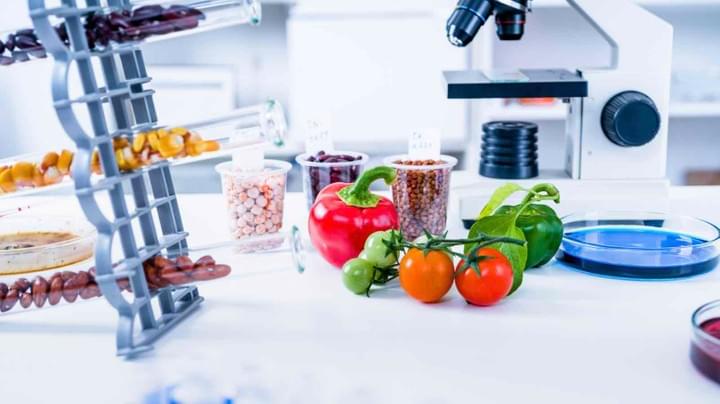 technologie-alimentaire-transformation-martinique-conseil technologie-alimentaire-transformation-martinique-conseil