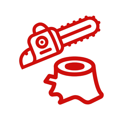 fournisseur-equipements-protection-afrique-forestier-elagage fournisseur-equipements-protection-afrique-forestier-elagage