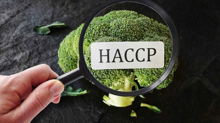 haccp-martinique-normes-restauration-reglementation haccp-martinique-normes-restauration-reglementation