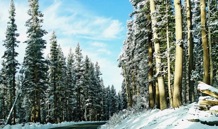 Don-Graham-tioga-road-ouest-americain Don-Graham-tioga-road-ouest-americain