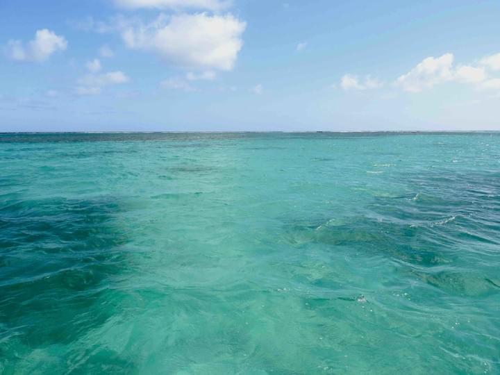 excursion-en-mer-martinique-ecotourisme excursion-en-mer-martinique-ecotourisme