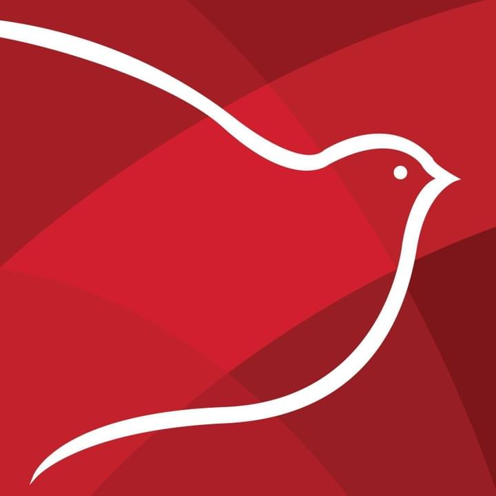 fundacion-rozas-botran-le-pont-des-ameriques fundacion-rozas-botran-le-pont-des-ameriques