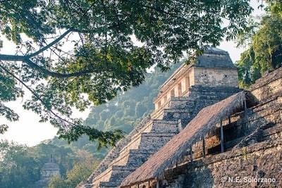 nerid-solorzano-arquelogia-palenque-mexico nerid-solorzano-arquelogia-palenque-mexico